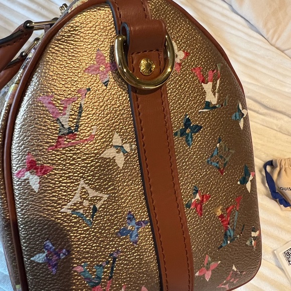 Louis Vuitton Garden Speedy 25 - Picture 13 of 17